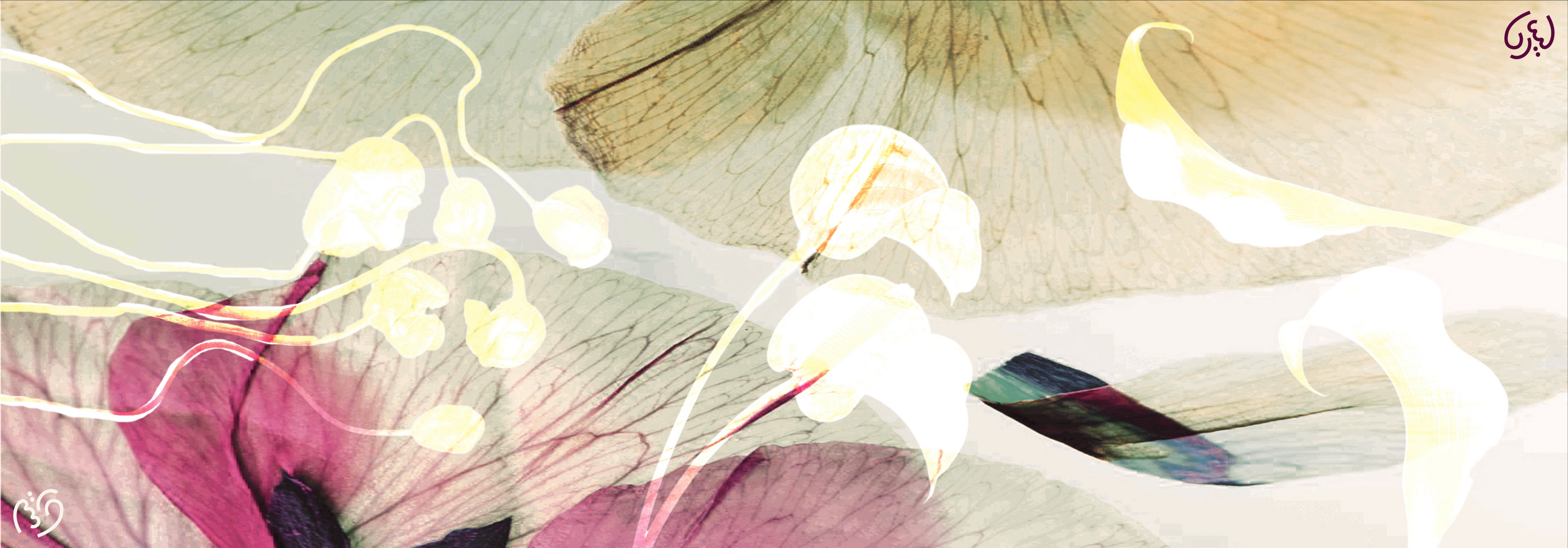 Chromacopia : Whimgardeia